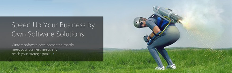 Custom Software Development