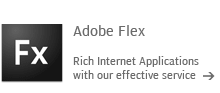 Flex Development and Flash Programming by Iksanika