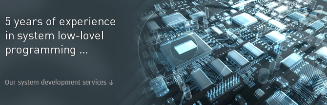effective system development service by Iksanika